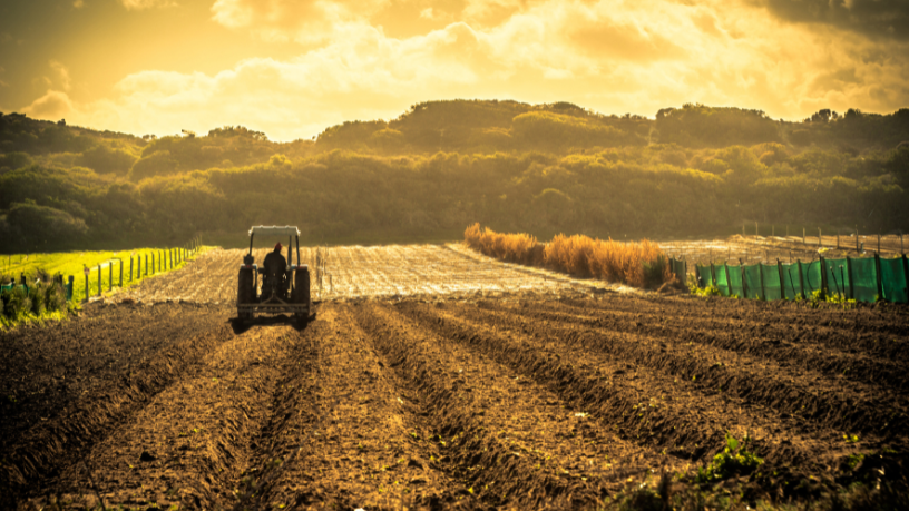 Inovação genética e manejo de precisão estão moldando o novo agro brasileiro, segundo Aldo Vendramin.
