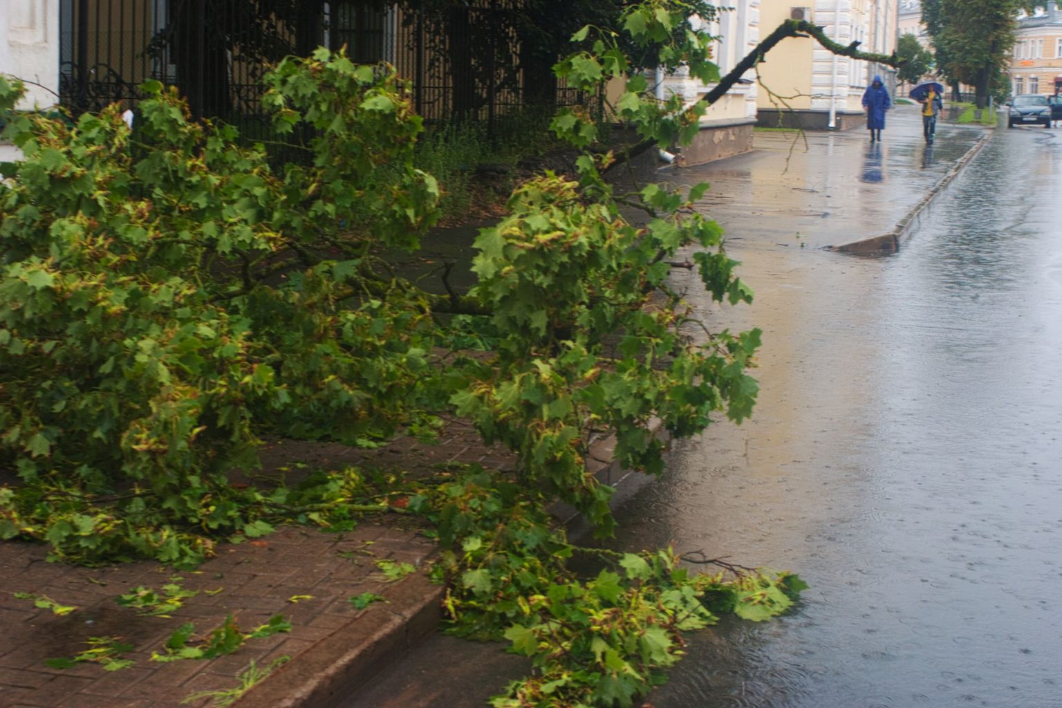 Galho de árvore caído em uma rua urbana molhada após a chuva, com pedestres ao fundo.